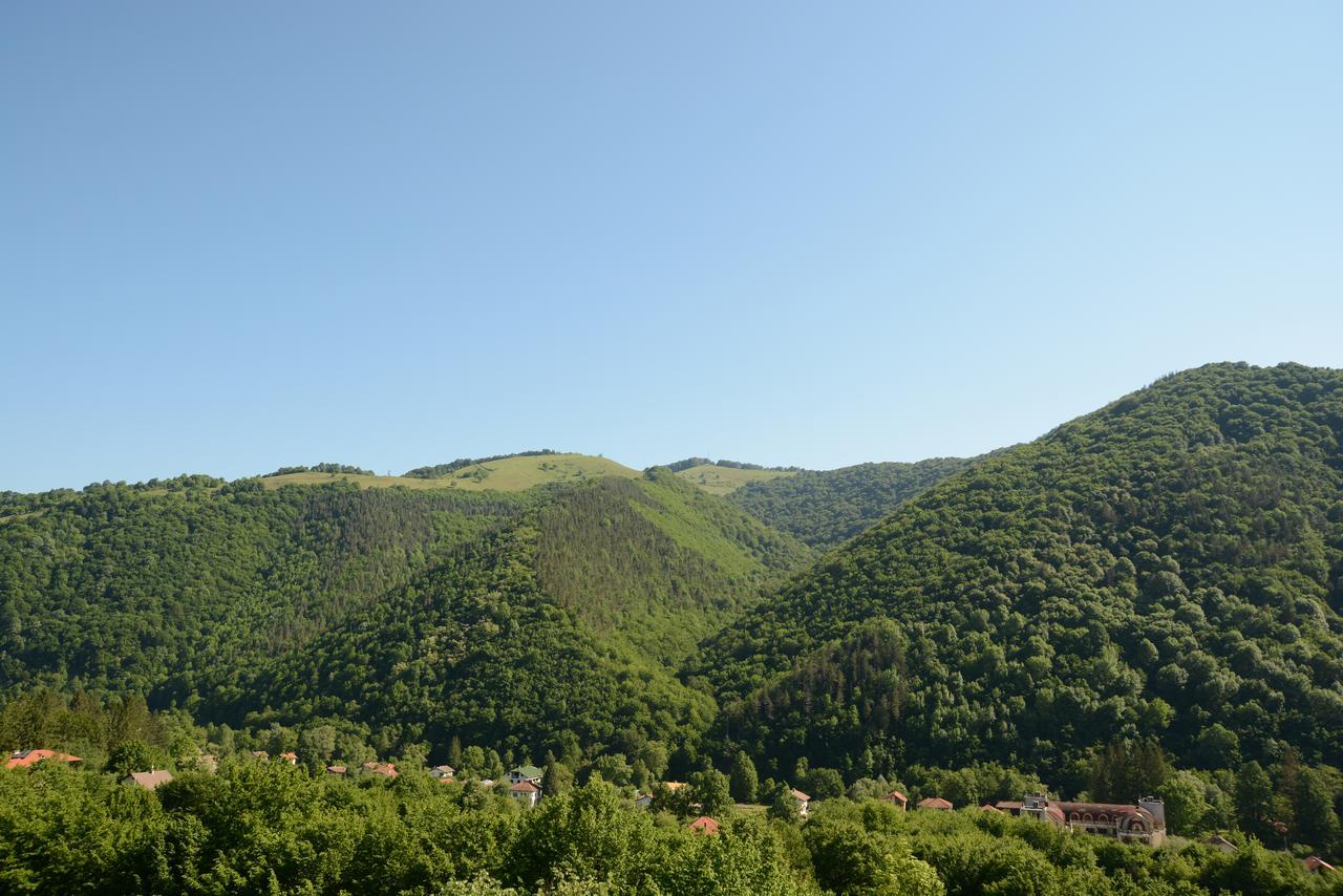 Park Hotel Ribaritsa Exteriér fotografie